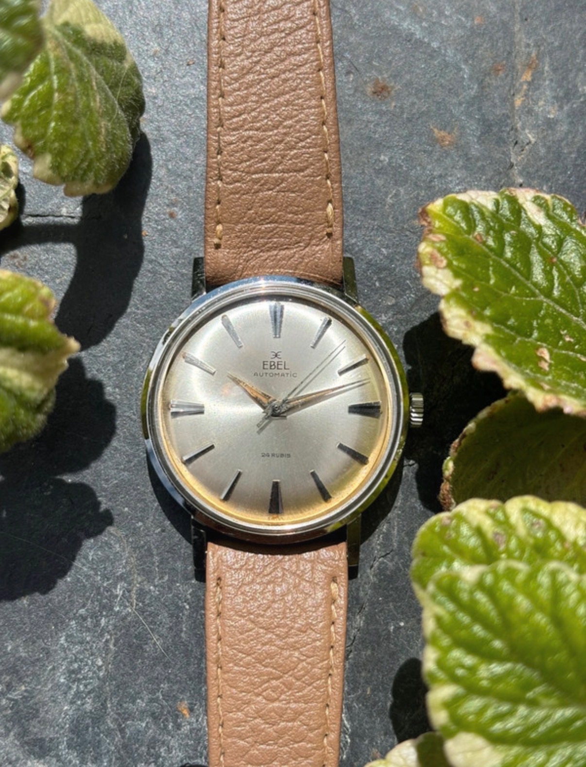 Orologio vintage Ebel Automatic Calibre 213 – 24 Rubis – Stainless Steel – 34 mm – 1960s — foto 1